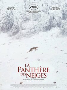 LA PANTHERE DES NEIGES – Affiche de cinéma originale – Approximativement 120×160